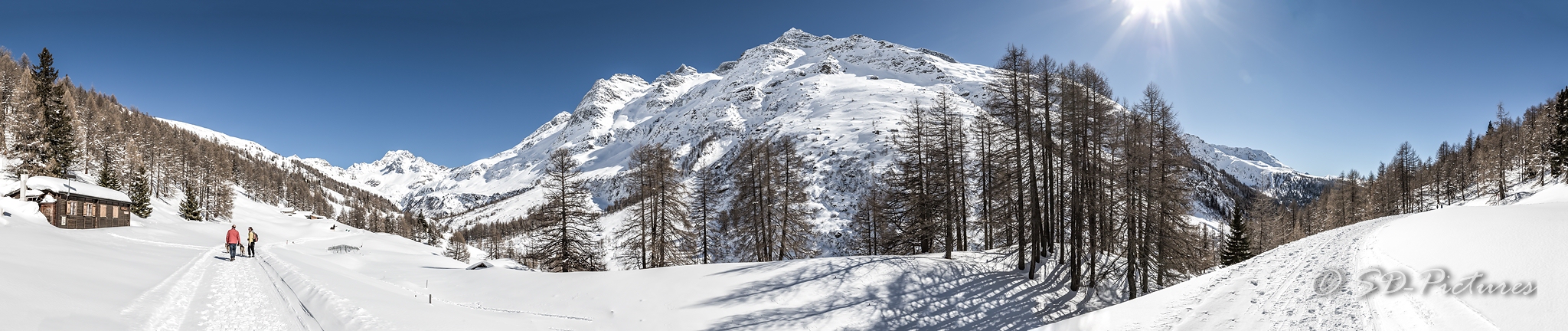 WEB  DP 2205 Pano als Smartobjekt 1 Kopie